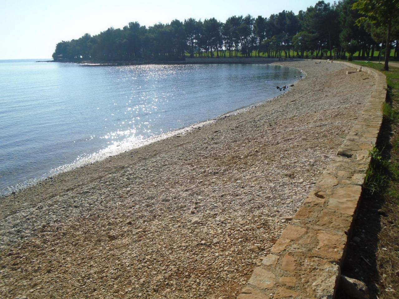 Villa Maria Novigrad  ภายนอก รูปภาพ