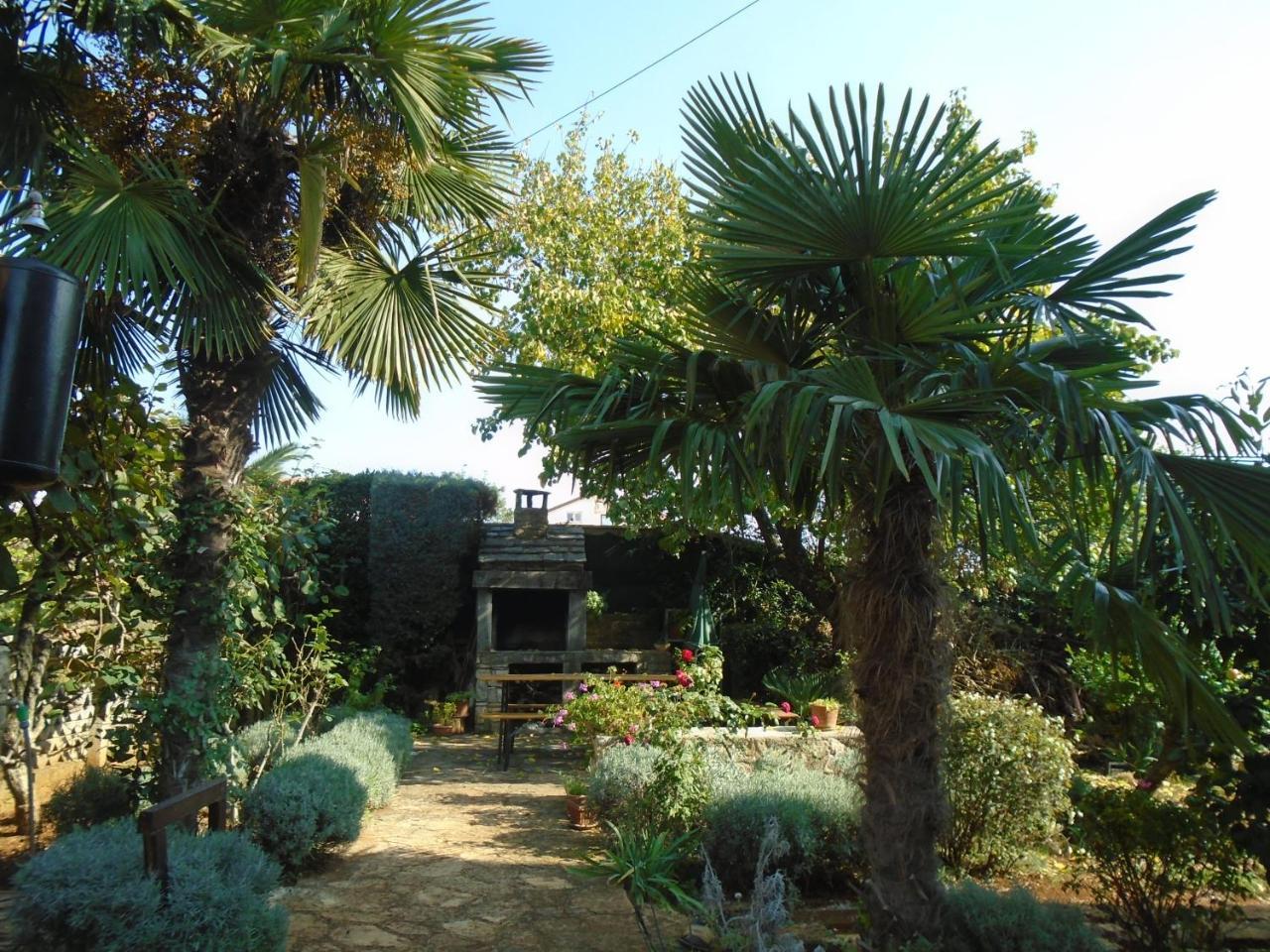 Villa Maria Novigrad  ภายนอก รูปภาพ