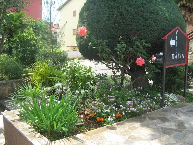 Villa Maria Novigrad  ภายนอก รูปภาพ