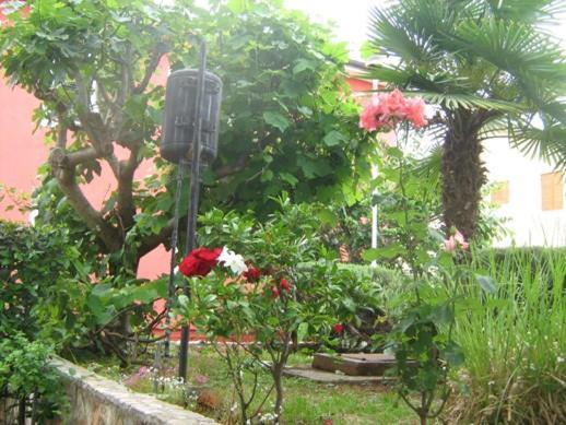 Villa Maria Novigrad  ภายนอก รูปภาพ