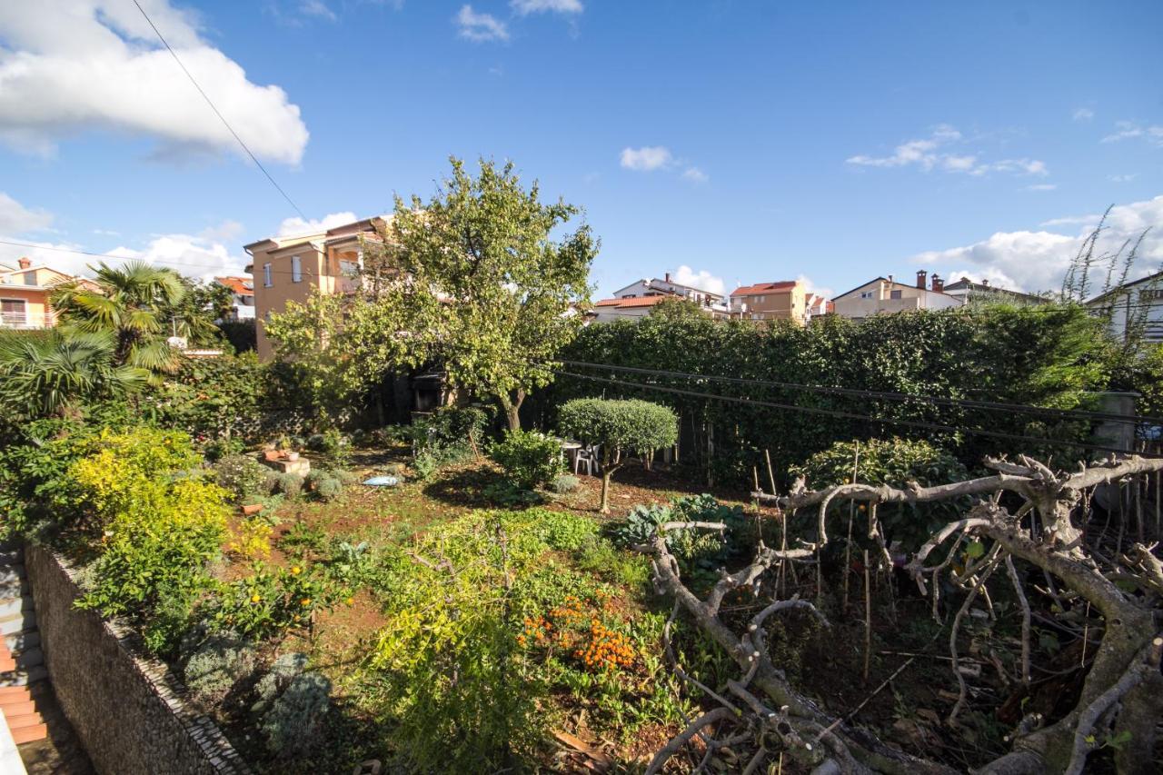 Villa Maria Novigrad  ภายนอก รูปภาพ